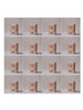 Muesli (Apricot Almond & Linseed) 500g Carton of 12